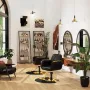 Black and Gold Salon Chair, New Hair Stylist Chair with Soft Comfortable Cushion, Stainless Steel Armrest, 360°Swivel