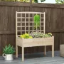 Raised Garden Bed with Lattice Trellis, 4 Drainage Holes, Wooden Elevated Planter Box with Legs for Climbing Vine, Customized