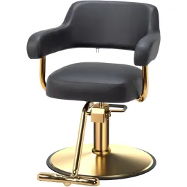 Barber Chairs for Barbershop Black and Gold Styling Chair, Salon Chair for Hair Stylist Heavy Duty Hydraulic Pump