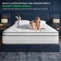 Queen Mattress, 12 Inch Mattress in a Box Memory Foam & Pocket Coils Springs,Motion Isolation Design,Relieve, Customized