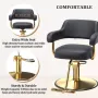 Barber Chairs for Barbershop Black and Gold Styling Chair, Salon Chair for Hair Stylist Heavy Duty Hydraulic Pump