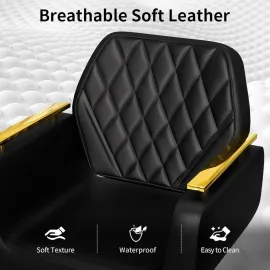 Black and Gold Salon Chair, New Hair Stylist Chair with Soft Comfortable Cushion, Stainless Steel Armrest, 360°Swivel