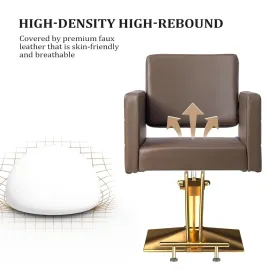 Brown and Gold Barber Chair Hair Salon Chair with Heavy Duty Hydraulic Pump, Square Base, Stainless Steel Footrest