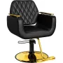 Black and Gold Salon Chair, New Hair Stylist Chair with Soft Comfortable Cushion, Stainless Steel Armrest, 360°Swivel