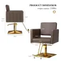 Brown and Gold Barber Chair Hair Salon Chair with Heavy Duty Hydraulic Pump, Square Base, Stainless Steel Footrest