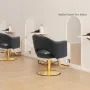 Barber Chairs for Barbershop Gold Black Styling Chair, Salon Chair for Hair Stylist, Heavy Duty Hydraulic Pump